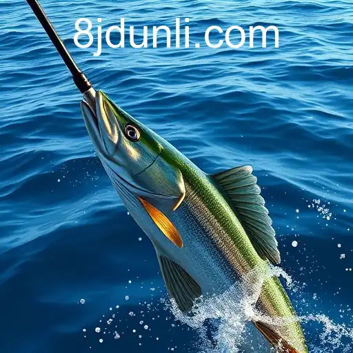 Gaming Experience JDUNLI - 800+ Premium and Exclusive Games